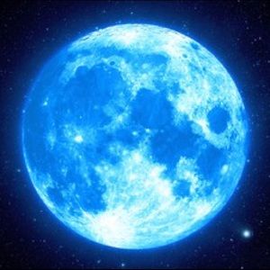 Meet your Posher, Eda deniz